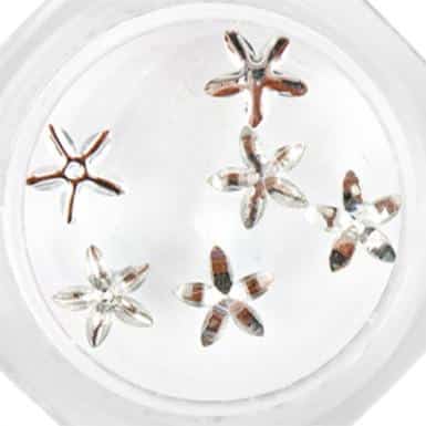 csillagvirág silver