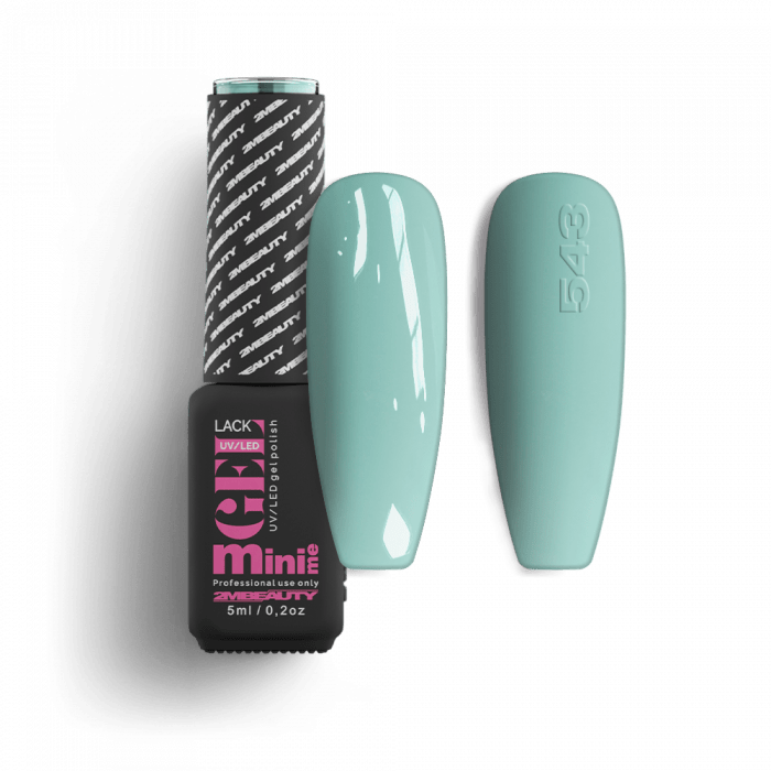 Gel Lack - Matt 543