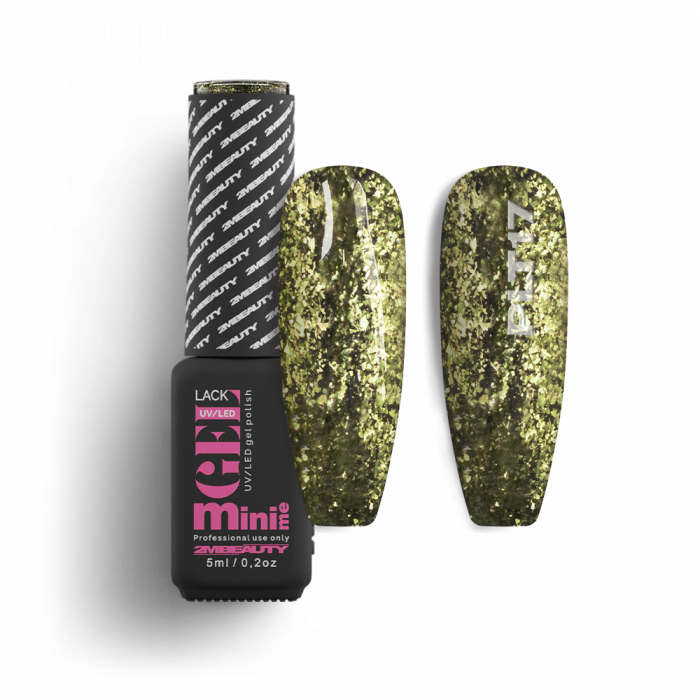 Gel Lack - Platinum 17 Gel Lack - Platinum 17
