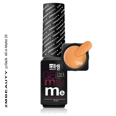 Gel Lack - All in Matte 20