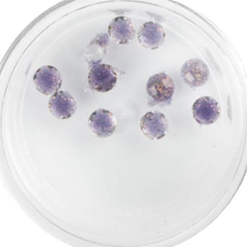 Plexi Glitter - 18