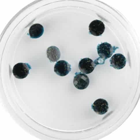 Plexi Glitter - 19