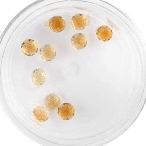 Plexi Glitter - 22