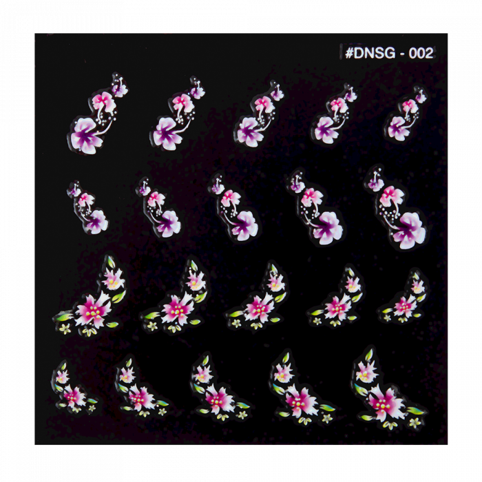 DNSG-002