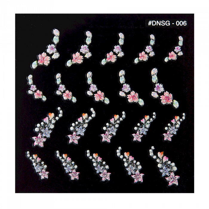 DNSG-006