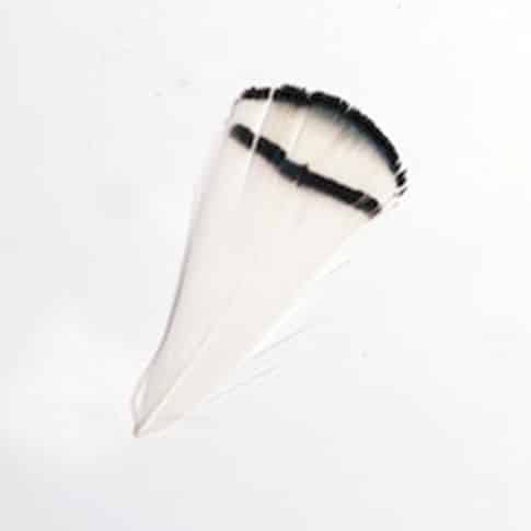 Toll 201 White