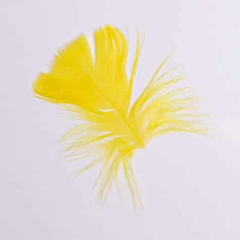 Toll 001 Yellow