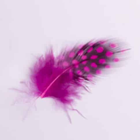 Toll 106 Dark Pink