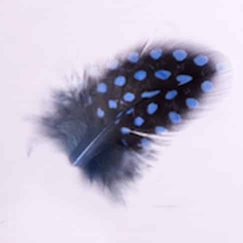 Toll 107 Blue