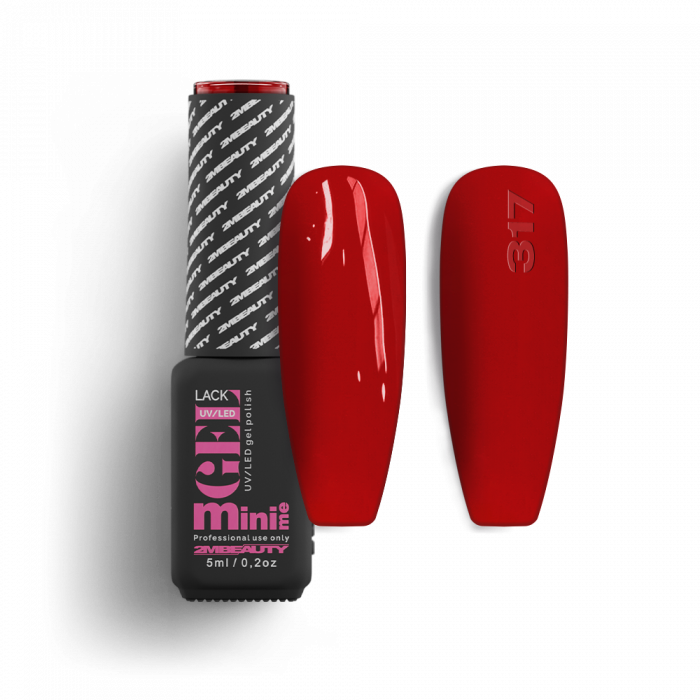 Gel Lack - HEMA Mentes 317 (5ml - mini me)